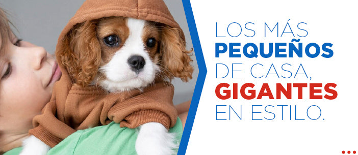 LOS MÁS PEQUEÑOS DE CASA