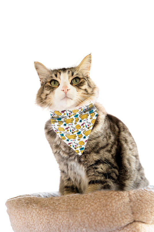 Pañoleta Mascota Gatos